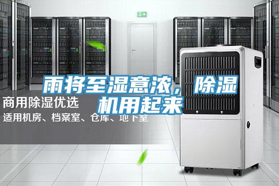 雨將至濕意濃，除濕機用起來