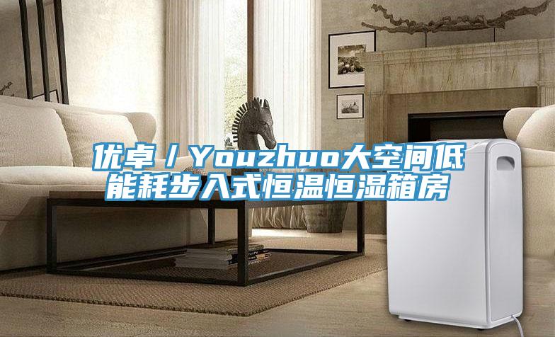 優卓/Youzhuo大空間低能耗步入式恒溫恒濕箱房