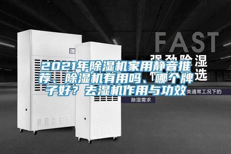 2021年除濕機家用靜音推薦、除濕機有用嗎、哪個牌子好？去濕機作用與功效