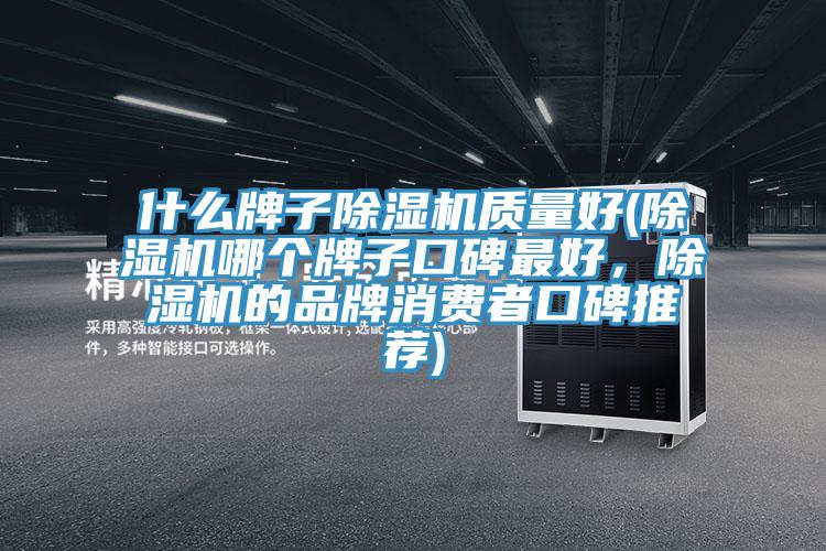 什么牌子除濕機質量好(除濕機哪個牌子口碑最好，除濕機的品牌消費者口碑推薦)