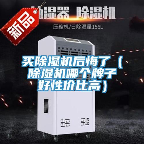 買(mǎi)除濕機(jī)后悔了（除濕機(jī)哪個(gè)牌子好性?xún)r(jià)比高）