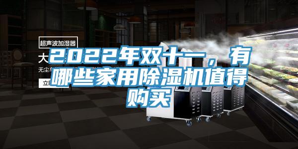2022年雙十一，有哪些家用除濕機(jī)值得購(gòu)買(mǎi)