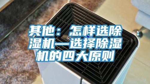 其他:怎樣選除濕機(jī)—選擇除濕機(jī)的四大原則