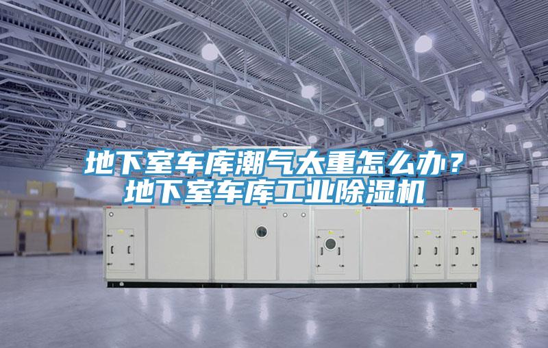 地下室車庫潮氣太重怎么辦？地下室車庫工業除濕機