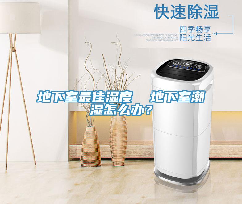 地下室最佳濕度  地下室潮濕怎么辦？