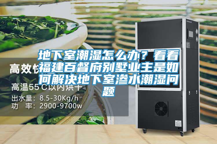 地下室潮濕怎么辦？看看福建百督府別墅業(yè)主是如何解決地下室滲水潮濕問(wèn)題