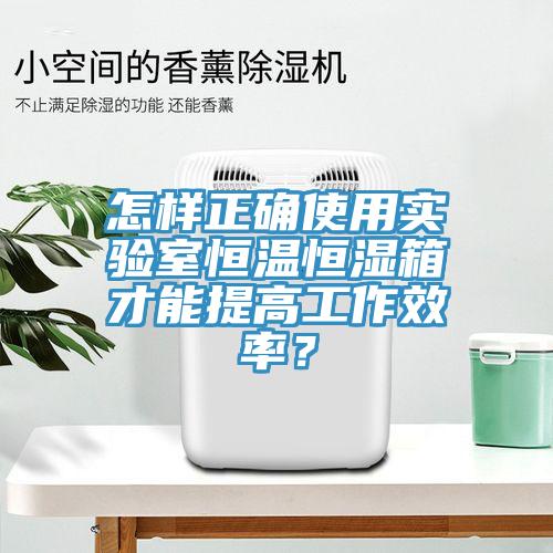 怎樣正確使用實(shí)驗(yàn)室恒溫恒濕箱才能提高工作效率?