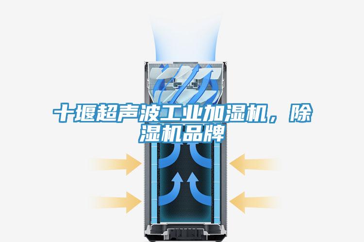 十堰超聲波工業(yè)加濕機，除濕機品牌