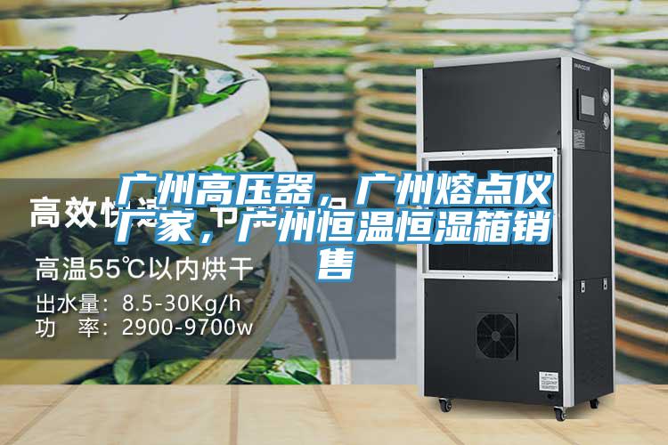 廣州高壓器,廣州熔點(diǎn)儀廠家,廣州恒溫恒濕箱銷售