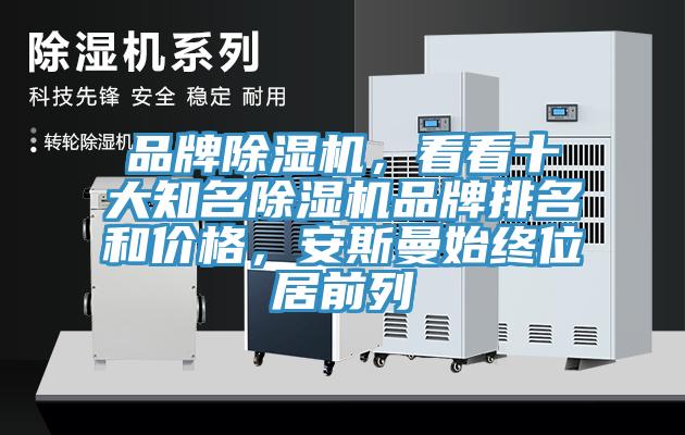 品牌除濕機，看看十大知名除濕機品牌排名和價格，安斯曼始終位居前列