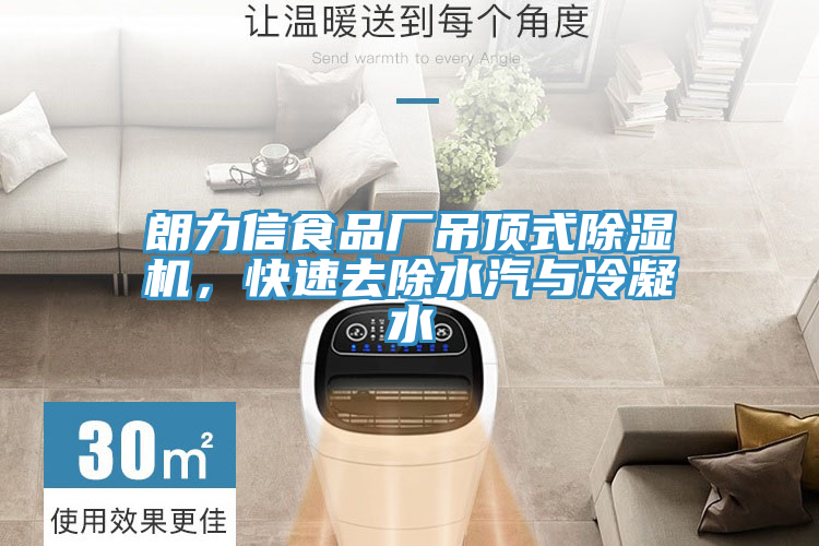 朗力信食品廠吊頂式除濕機(jī)，快速去除水汽與冷凝水