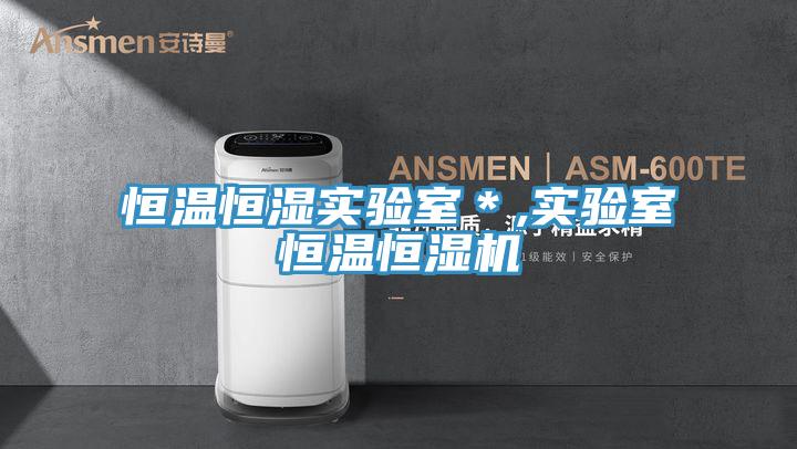 恒溫恒濕實(shí)驗(yàn)室*,實(shí)驗(yàn)室恒溫恒濕機(jī)