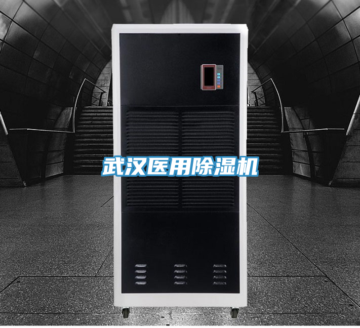 武漢醫用除濕機