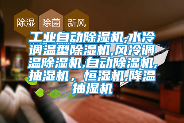 工業(yè)自動(dòng)除濕機(jī),水冷調(diào)溫型除濕機(jī),風(fēng)冷調(diào)溫除濕機(jī),自動(dòng)除濕機(jī),抽濕機(jī)，恒濕機(jī),降溫抽濕機(jī)