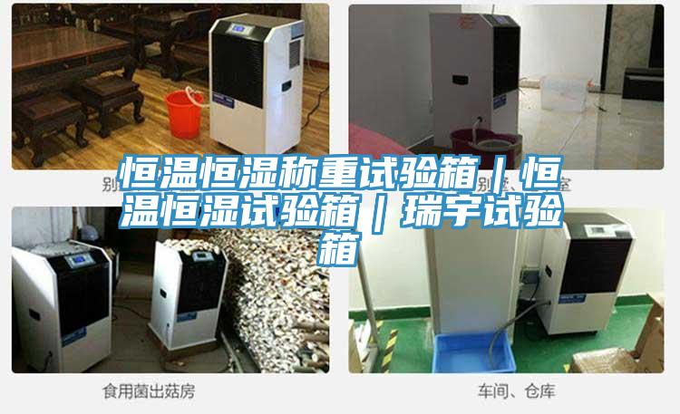 恒溫恒濕稱重試驗箱|恒溫恒濕試驗箱|瑞宇試驗箱