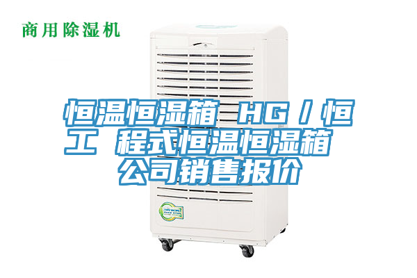 恒溫恒濕箱 HG/恒工 程式恒溫恒濕箱 公司銷售報價