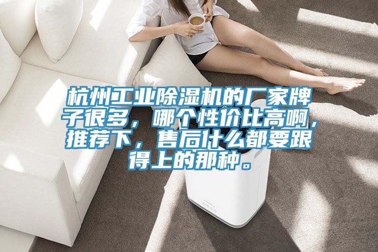 杭州工業(yè)除濕機(jī)的廠家牌子很多，哪個(gè)性?xún)r(jià)比高啊，推薦下，售后什么都要跟得上的那種。