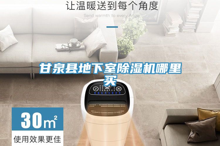 甘泉縣地下室除濕機(jī)哪里買(mǎi)