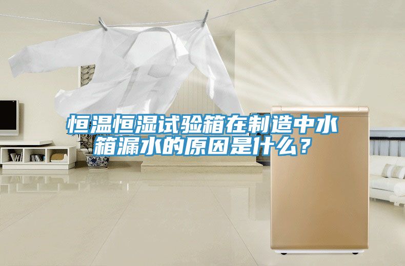 恒溫恒濕試驗箱在制造中水箱漏水的原因是什么?