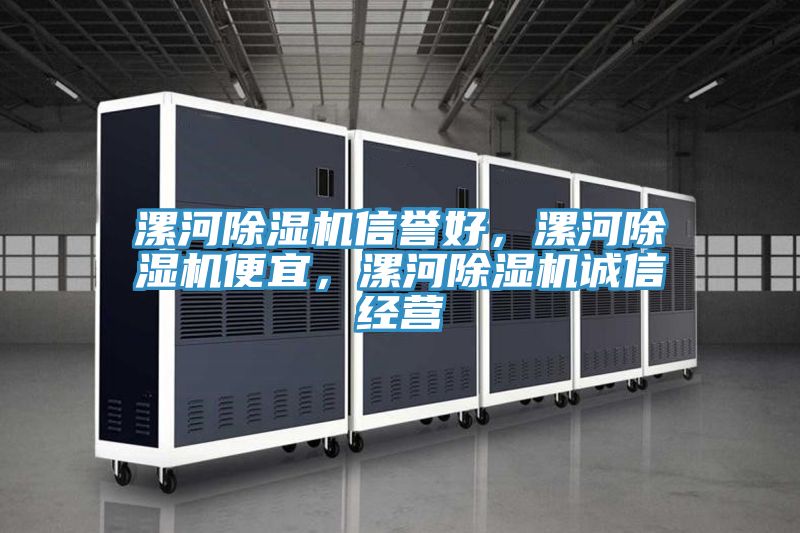 漯河除濕機(jī)信譽(yù)好，漯河除濕機(jī)便宜，漯河除濕機(jī)誠(chéng)信經(jīng)營(yíng)