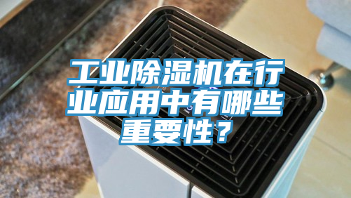 工業(yè)除濕機在行業(yè)應(yīng)用中有哪些重要性？