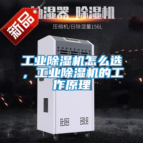 工業除濕機怎么選，工業除濕機的工作原理
