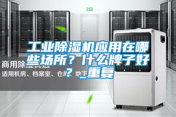 工業除濕機應用在哪些場所？什么牌子好？_重復