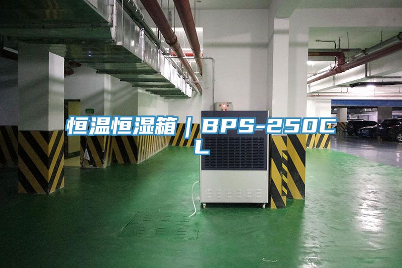 恒溫恒濕箱|BPS-250CL