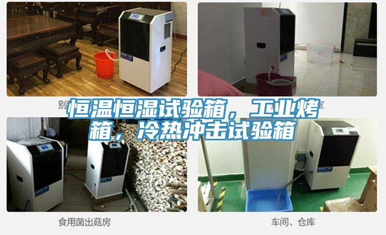 恒溫恒濕試驗箱,工業烤箱,冷熱沖擊試驗箱