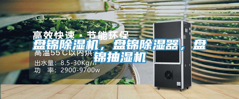 盤錦除濕機(jī)，盤錦除濕器，盤錦抽濕機(jī)