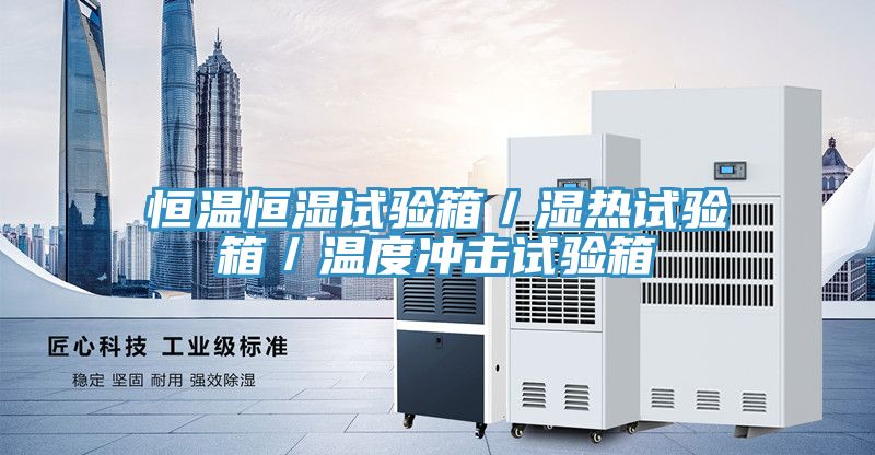 恒溫恒濕試驗箱/濕熱試驗箱/溫度沖擊試驗箱