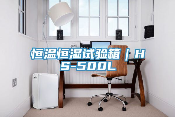 恒溫恒濕試驗箱|HS-500L