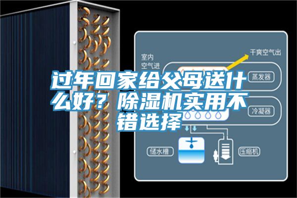 過年回家給父母送什么好?除濕機(jī)實(shí)用不錯(cuò)選擇
