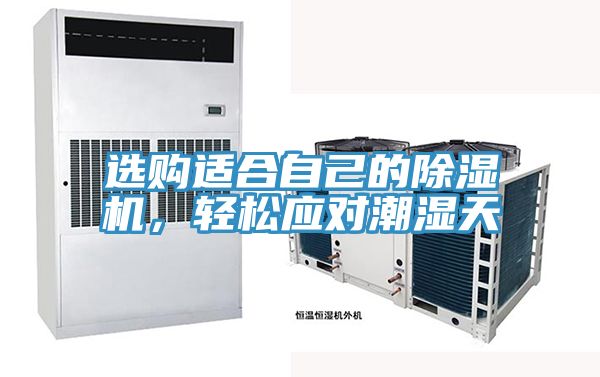 選購適合自己的除濕機,輕松應對潮濕天