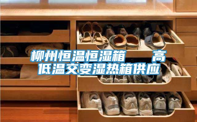 柳州恒溫恒濕箱 高低溫交變濕熱箱供應