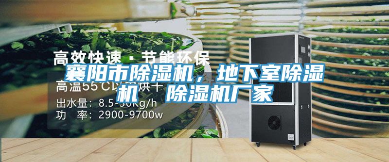 襄陽市除濕機,地下室除濕機 除濕機廠家