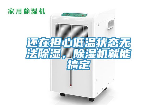 還在擔心低溫狀態無法除濕,除濕機就能搞定