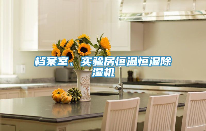 檔案室、實驗房恒溫恒濕除濕機