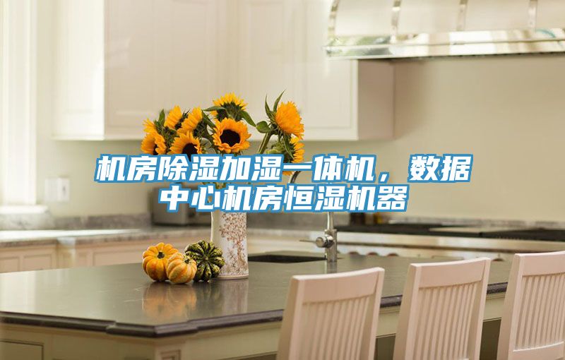 機房除濕加濕一體機,數據中心機房恒濕機器