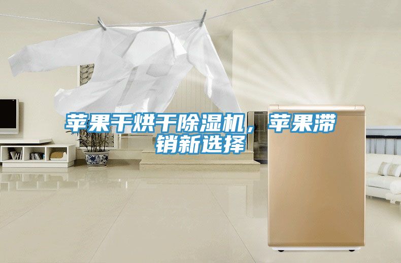 蘋果干烘干除濕機,蘋果滯銷新選擇
