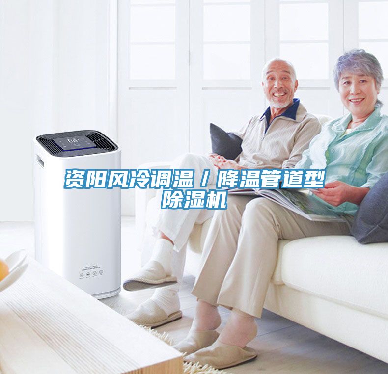 資陽風冷調溫/降溫管道型除濕機