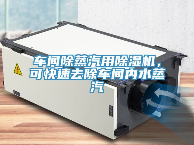 車間除蒸汽用除濕機(jī)，可快速去除車間內(nèi)水蒸汽