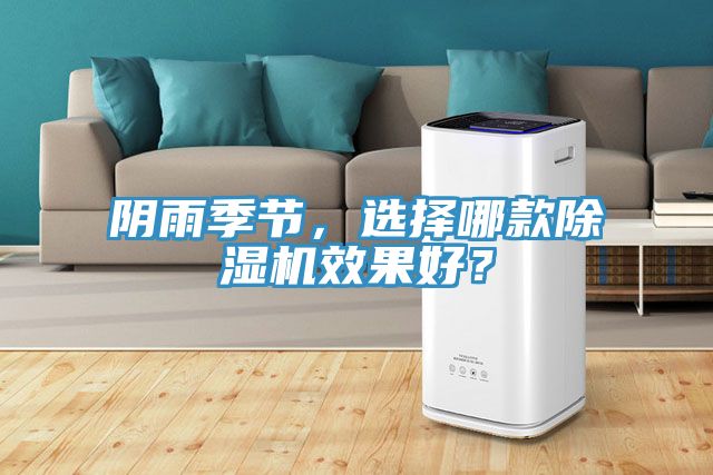 陰雨季節,選擇哪款除濕機效果好?