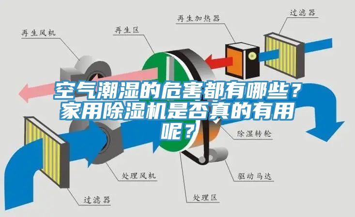 空氣潮濕的危害都有哪些?家用除濕機是否真的有用呢?