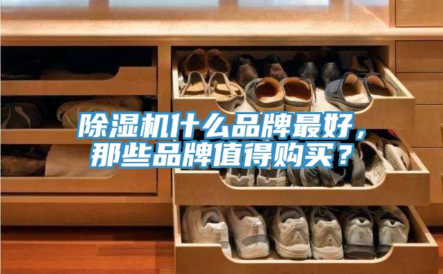 除濕機什么品牌最好,那些品牌值得購買?