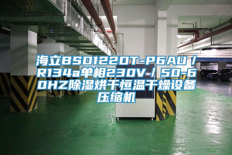 海立BSD122DT-P6AU/R134a單相230V/50-60HZ除濕烘干恒溫干燥設(shè)備壓縮機(jī)