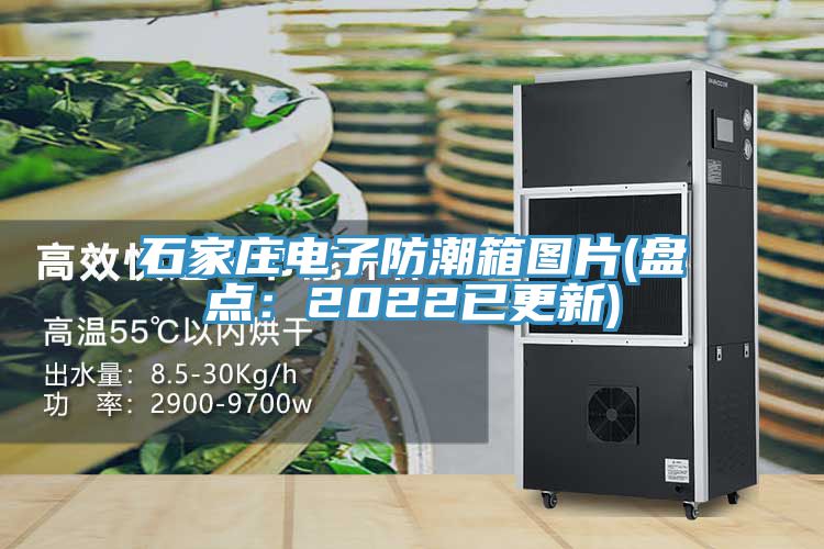 石家莊電子防潮箱圖片(盤點(diǎn):2022已更新)