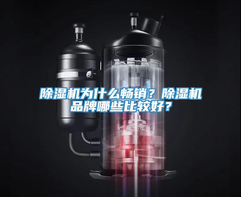 除濕機為什么暢銷？除濕機品牌哪些比較好？
