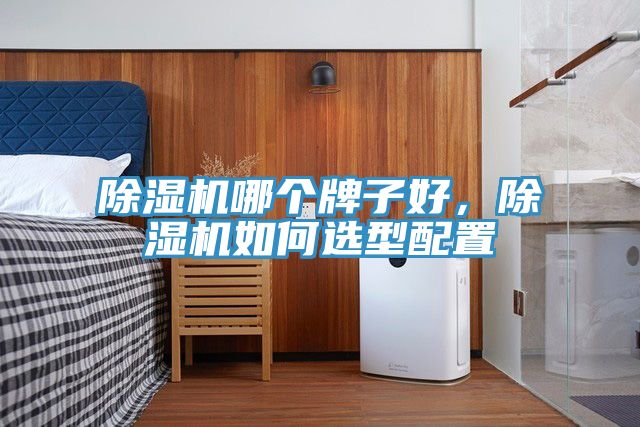 除濕機哪個牌子好,除濕機如何選型配置