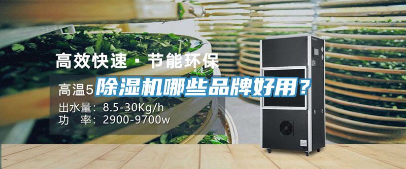 除濕機哪些品牌好用?